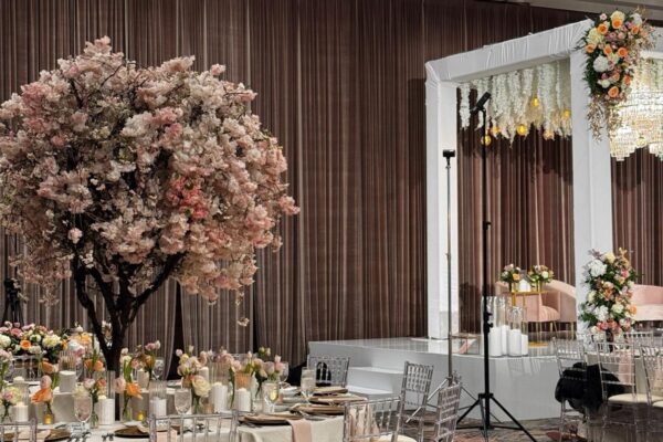 WhatsApp Image 2026-01-03 at 17.15.23