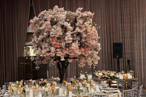 WhatsApp Image 2026-01-03 at 17.15.232