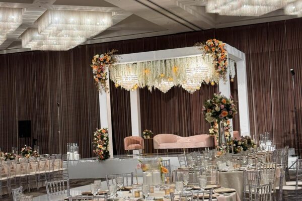 WhatsApp Image 2026-01-03 at 17.15.232