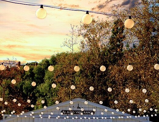 farm sweetheart table